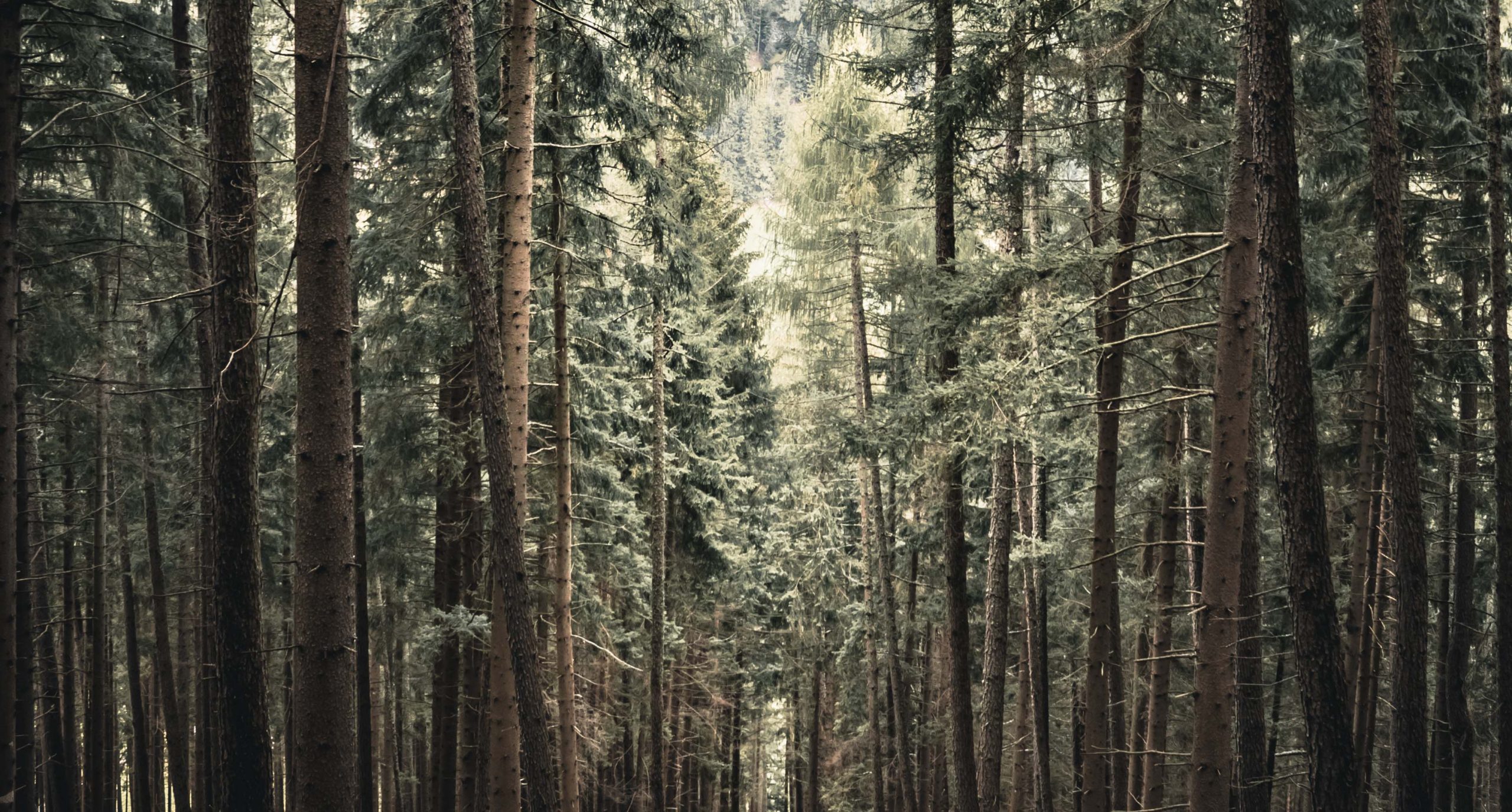 parallax background